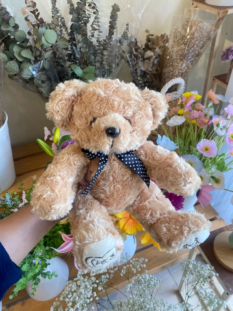 Premium Teddy Bear