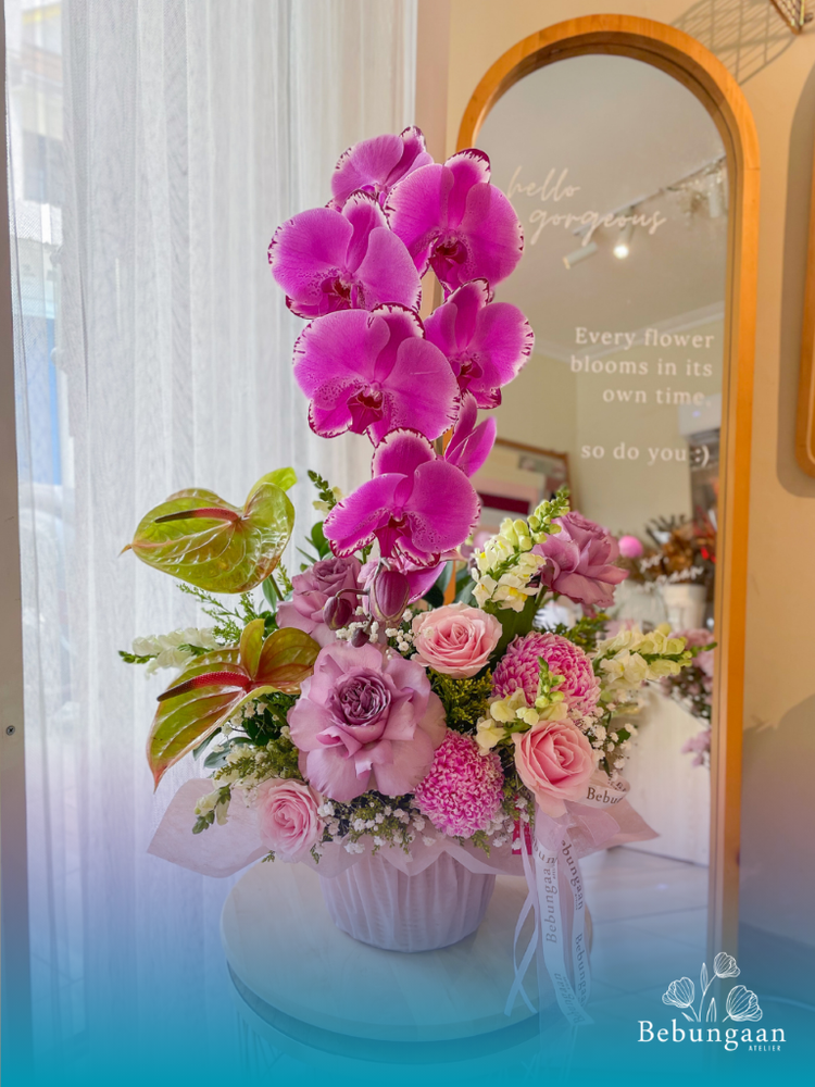 Juliette Orchid