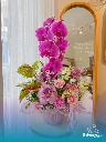 Juliette Orchid